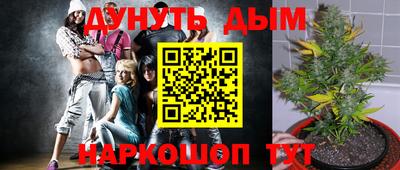 каннабис Прохладный