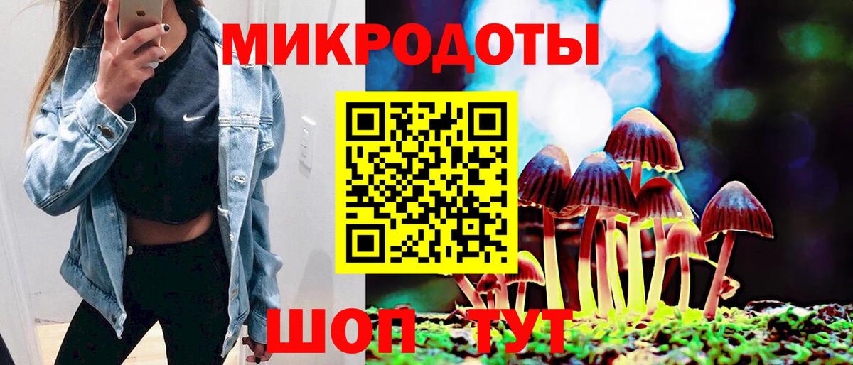 Кунгур  Псилоцибиновые грибы Psilocybine cubensis  Вход с VPN 